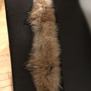 Canada Goose winter jacket